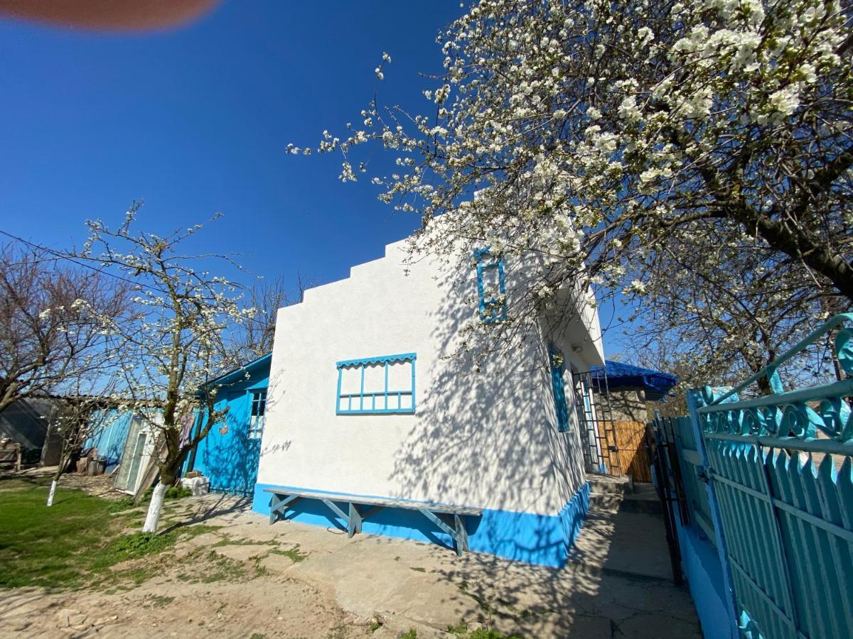 Vila Casa Bunicilor Granny'S House Jurilovca Exteriér fotografie