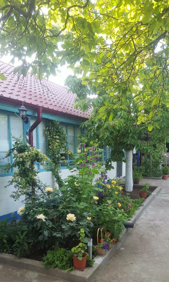 Vila Casa Bunicilor Granny'S House Jurilovca Exteriér fotografie